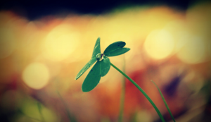 米利托领队都灵在热那亚取得顽强胜利