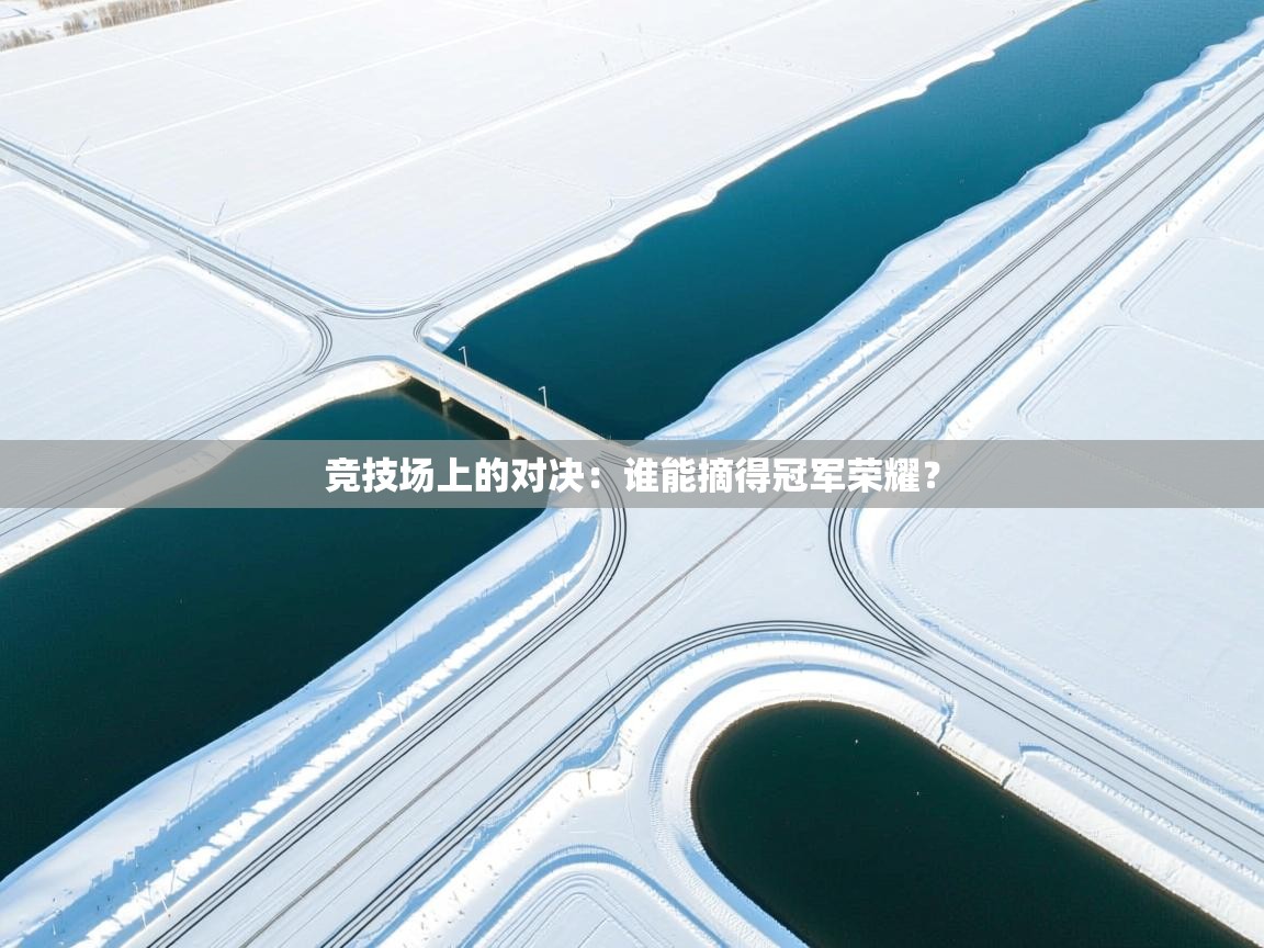 竞技场上的对决：谁能摘得冠军荣耀？