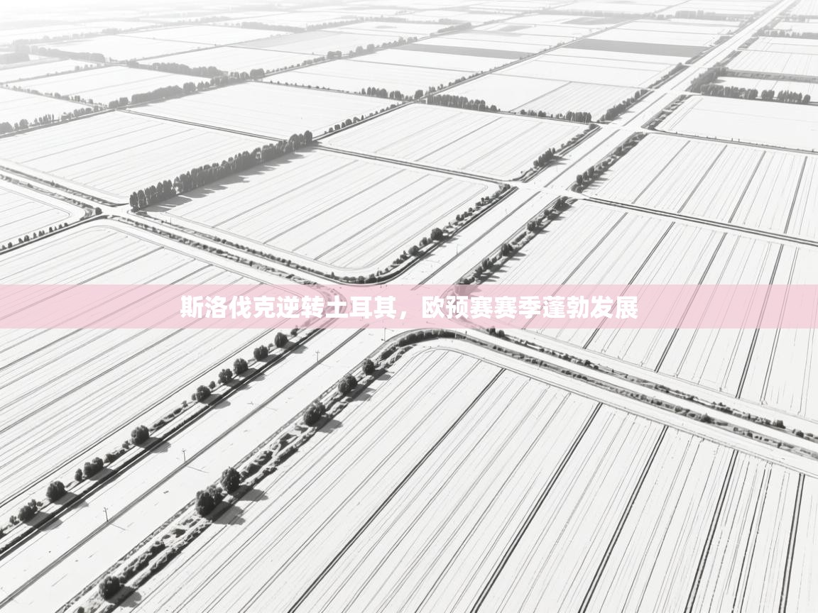 斯洛伐克逆转土耳其，欧预赛赛季蓬勃发展