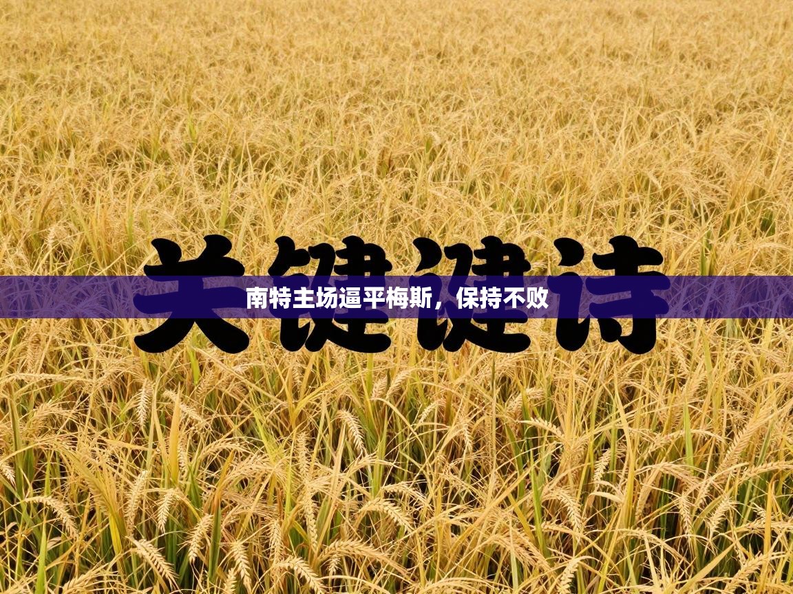 南特主场逼平梅斯，保持不败