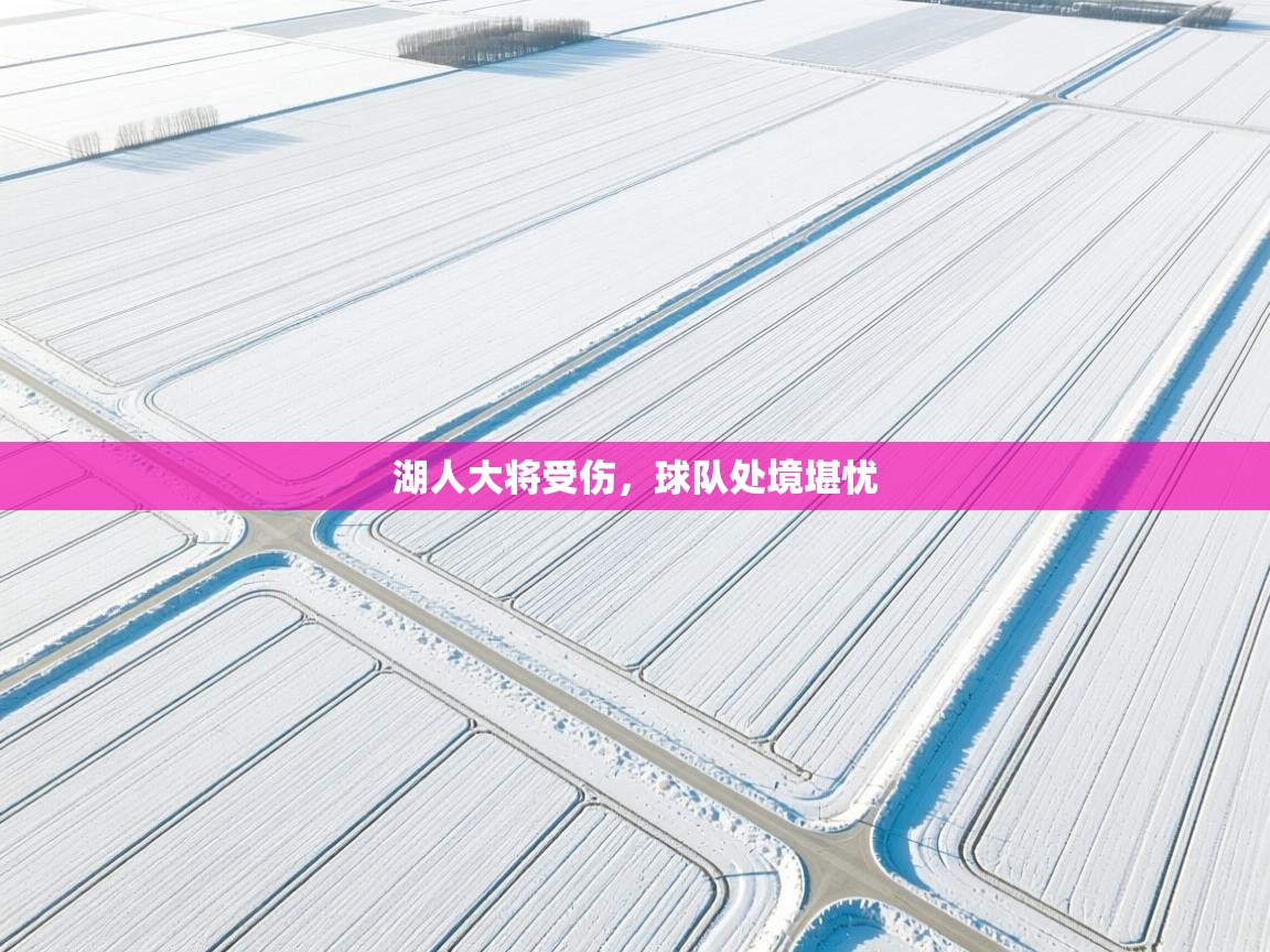 湖人大将受伤,球队处境堪忧