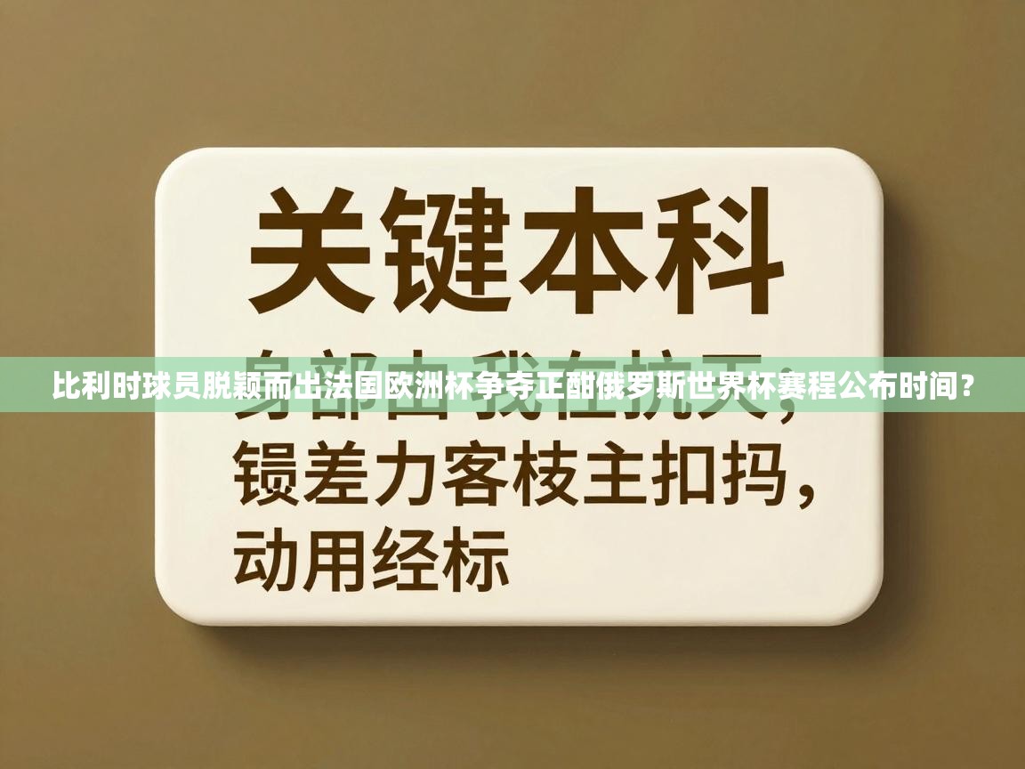 比利时球员脱颖而出法国欧洲杯争夺正酣俄罗斯世界杯赛程公布时间? 第2张
